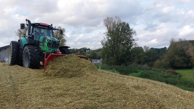 Door de grote verschillen in maïspercelen, vergt ook het inkuilen de nodige aandacht.