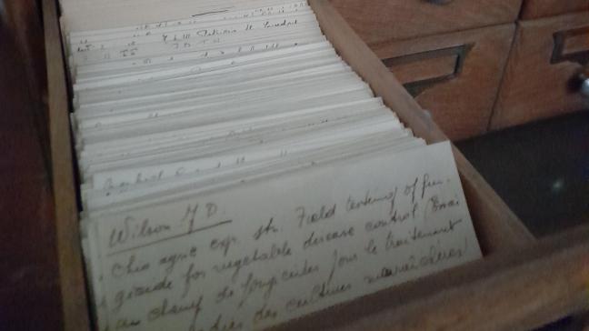 Bibliotheekcatalogus op fiche van de collectie van het Koninklijk Belgisch Instituut tot Verbetering van de Biet (KBIVB).