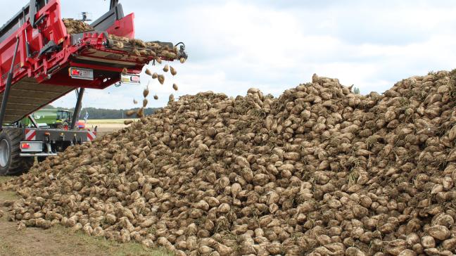 Onder meer de Europese federatie van suikerproducenten en de Internationale federatie van bietentelers vinden het compensatiefonds voor het Mercosur-akkoord eerder verontrustend dan dat het vertrouwen biedt.
