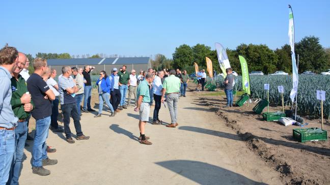 Op de proefvelden van Viaverda stelden vertegenwoordigers van diverse zaadhuizen hun nieuwe preirassen voor.