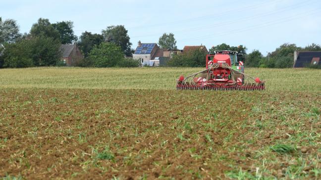 De Vlaamse Landmaatschappij (VLM) zal dit jaar niet meer handhaven op de inzaaidatum van vanggewassen.