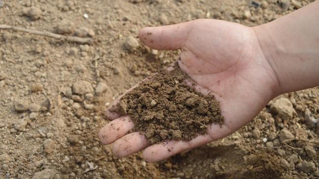 Je komt in aanmerking voor het netwerk bodempioniers als je op jouw stuk land vandaag al experimenteert met bodemzorg en bodemregeneratie.