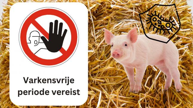 Een diervrije periode is gericht op het voorkomen van ziekte-introductie die indirect via bezoekers en personeel binnengebracht kan worden.
