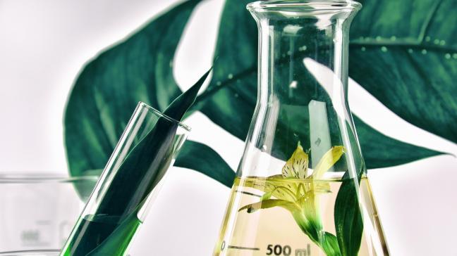 Het ReJuice-project wil plantaardige reststromen omzetten in hoogwaardige producten.