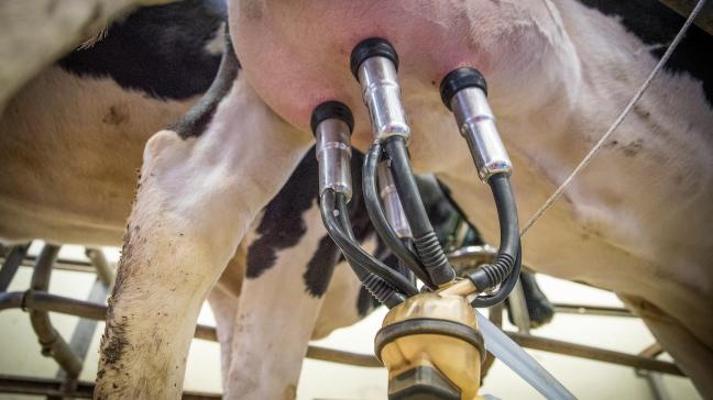 Het labo van het Melkcontrolecentrum (MCC) introduceert in 2025 een nieuwe werking die gericht is op de individuele koe.