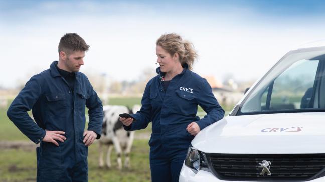 CRV heeft op 13 november zijn medewerkers in Nederland en Vlaanderen geïnformeerd over een herstructurering van de organisatie. Hiermee anticipeert het bedrijf op de verwachte krimp in de veestapel.