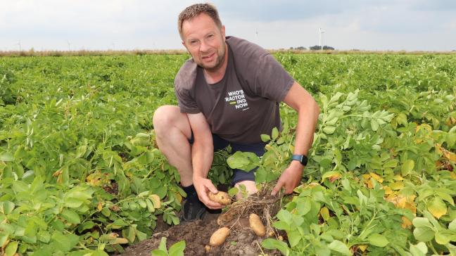 Harry Schreuder: “Een deel van de Innovators is op contract bij Lamb Weston. Daardoor is vorig jaar een deel naar Lutosa in Leuze-en-Hainaut gegaan. Daar zullen vast Vlaamse frieten van gemaakt zijn.”
