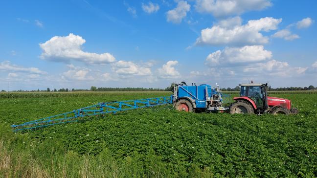 De eerste biopesticiden van BiocSol richten zich onder meer op aardappelziektes.