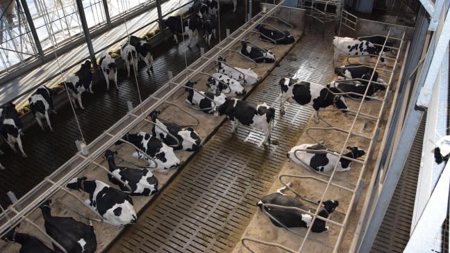 De denkpiste om hier de veestapel drastisch af te bouwen en zo onze voedselproductie uit te besteden aan landen met lagere processtandaarden heeft naast negatieve gevolgen voor duurzaamheid ook geopolitieke gevolgen.