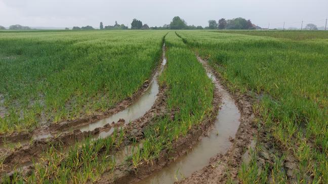 Vooral de akkerbouw is zwaar getroffen, met 26,3% minder omzet dan in 2023.