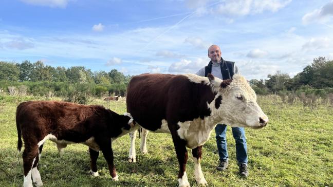 Boer Wiebe koos voor Hereford-runderen om in te zetten als  natuurbegrazers.