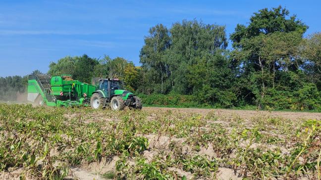 De gemiddelde aardappelopbrengstkomt dit jaar uit op 43,8 ton/ha, zo stelt de organisatie van de North European Potato Growers (NEPG).