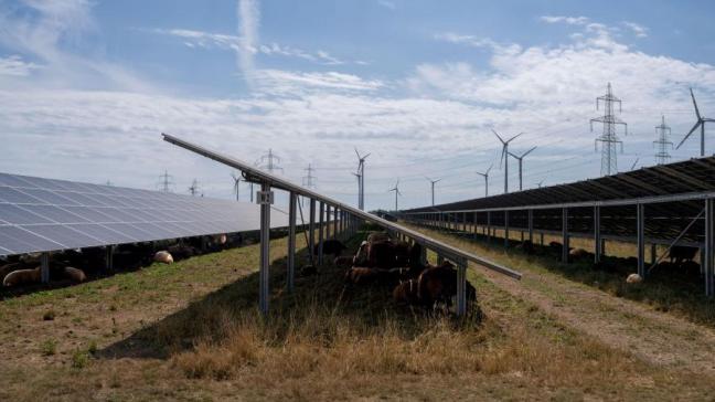 De zonnepanelen komen op open ruimte op de grond, maar laten nog genoeg plaats om bijvoorbeeld schapen te laten grazen.