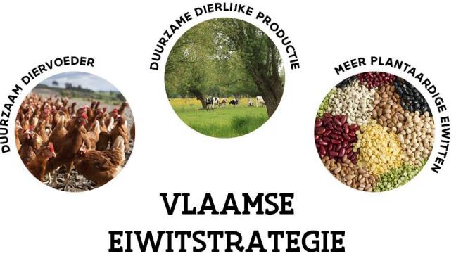 Het eiwitdashboard geeft een permanent en steeds actueel overzicht van de voortgang van de Vlaamse eiwitstrategie 2021-2030.