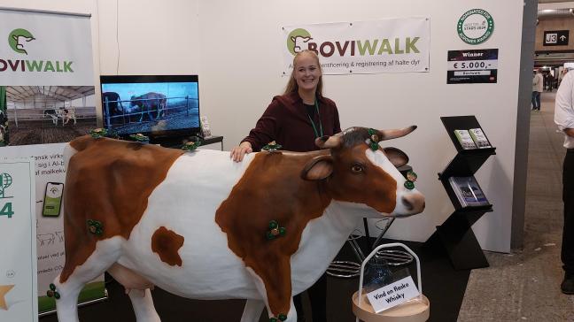 “Van de te behandelen dieren krijgt de veehouder op zijn gsm ook informatie over welke poot moet behandeld worden, want het systeem kan beginnende kreupelheid veel vroeger opsporen dan ervaren veehouders”, vertelt CEO Sofie Skovsgaard van BoviWalk.