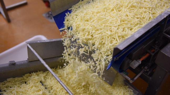 De kaasprijzen  dalen. Vooral  mozzarella doet het  slecht met 4.102  euro/ton.