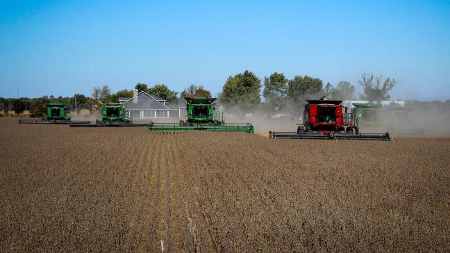 De sojamarkt wordt momenteel gekenmerkt door robuuste exportcijfers in de VS, ideale omstandigheden in Zuid-Amerika, en door een hoge vraag naar sojaolie.