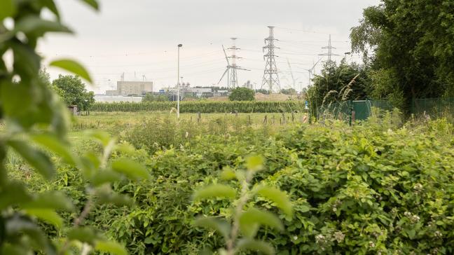 Vanaf 18 december kan je een tegemoetkoming aanvragen voor de schade die je hebt geleden als gevolg van de PFAS-verontreiniging in de regio Zwijndrecht.