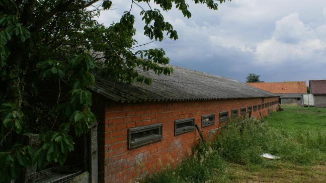 In de toekomst kunnen de varkensbedrijven die hun exploitatie stop hebben gezet, aanspraak maken op een vergoeding voor de afbraak van de oude gebouwen.