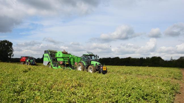 Over het algemeen daalt de aardappelproductie in Europa, met uitzondering van Noordwest-Europa (Duitsland, België, Frankrijk en Nederland).