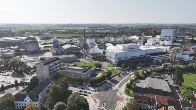 De Tiense Suikerraffinaderij neemt  ongeveer twee derde van de Belgische markt in en is vooral actief in het centrum en oosten van België, met fabrieken  in Tienen en Wanze.
