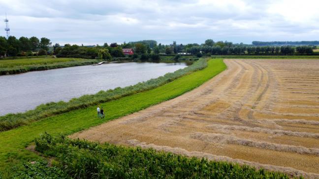 De maximale bemestingsnormen worden verlaagd in die gebieden waar volgens de VLM nog een grote verbetering van de waterkwaliteit nodig is.