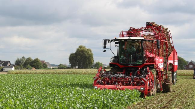 Sinds 2023 is een nieuwe definitie van GLB-actieve landbouwer van toepassing.