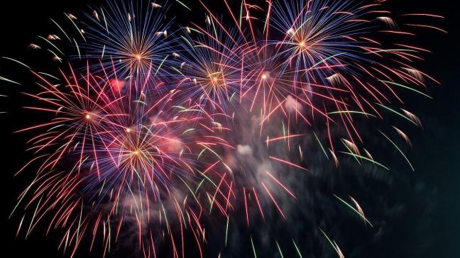 Vooral het geluid van vuurwerk is angstaanjagend voor dieren, omdat hun gehoor veel gevoeliger is dan dat van mensen.