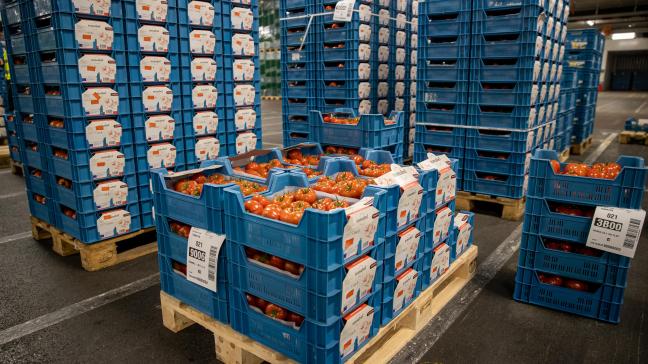 De REO Veiling haalde in 2024 een recordomzet van bijna 250 miljoen euro.