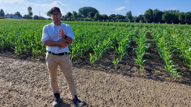 Volgens Thomas Truyen (Limagrain) biedt het verbouwen van vroege maïsrassen de landbouwer meer zekerheid.