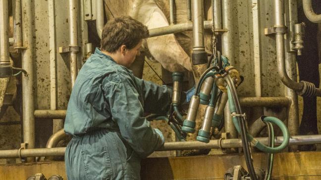 Aangesloten landbouwers kunnen een vervanger krijgen wanneer ze zelf de dagelijkse werkzaamheden niet kunnen uitvoeren.
