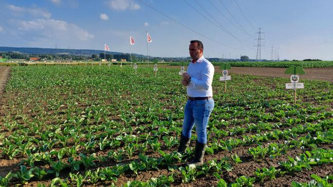 Sander Van Kerckhove gaf toelichting bij het Betaseed-gamma suikerbieten voor komend jaar.