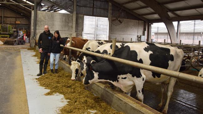 Na haar werk als schoonheidsspecialiste helpt Lindsay Plovie op het melkveebedrijf van haar man Bart Cornelis.