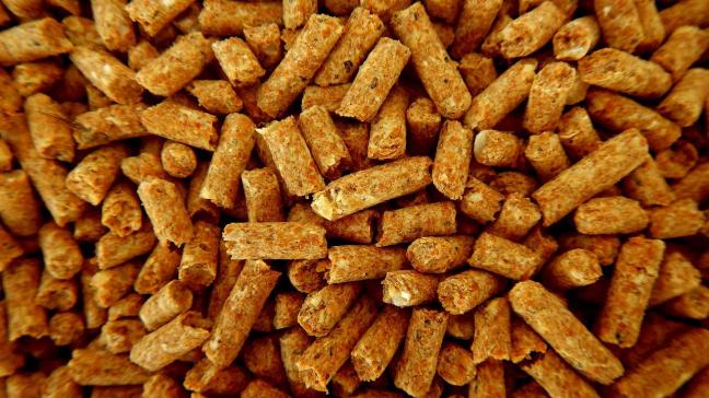 De origine en de samenstelling van het voer bepaalt de klimaatimpact van het stukje vlees op ons bord of de melk die we drinken.