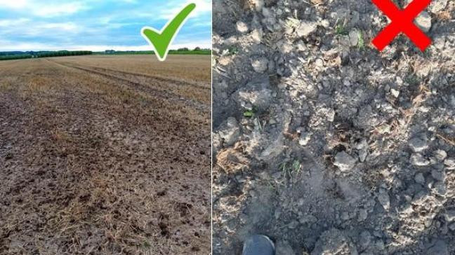 Landbouwers die stalmest of houtsnippers uitrijden of laten uitrijden voor de subsidie ‘Verhogen van het organisch koolstofgehalte’ moeten foto’s nemen als bewijsmateriaal.