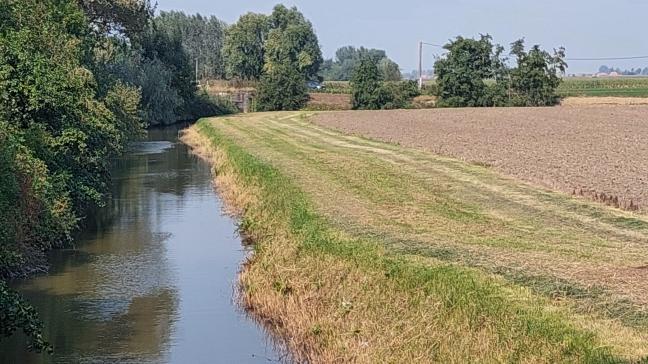 Bijkomende maatregelen zijn nodig om de waterkwaliteit in het landbouwgebied te verbeteren. Ze zijn noodzakelijk om de Europese en Vlaamse waterkwaliteitsdoelstellingen te behalen.