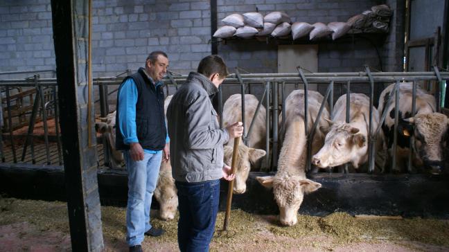 Het aantal aangemelde zorgboerderijen steeg in 2024 ten opzichte van de voorgaande jaren.