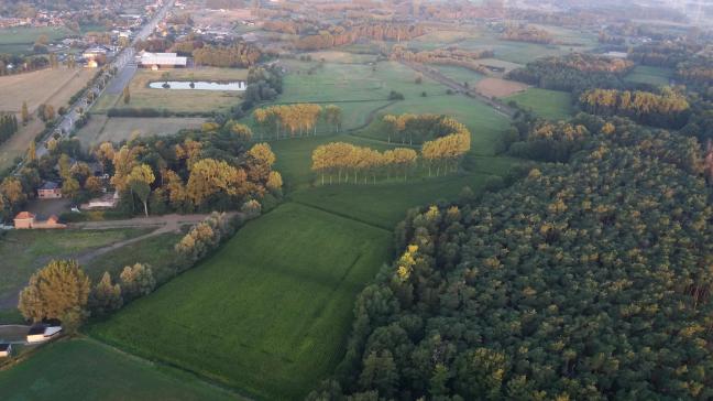 Kregen Vlaamse verenigingen voor landbeheer tussen 2003 en 2018 jarenlang onterecht aankoopsubsidies?