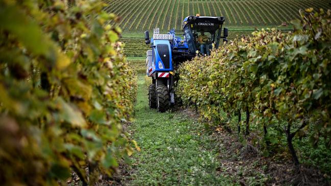 Franse cognacproducenten willen een einde aan het oplopende EU-China handelsconflict.