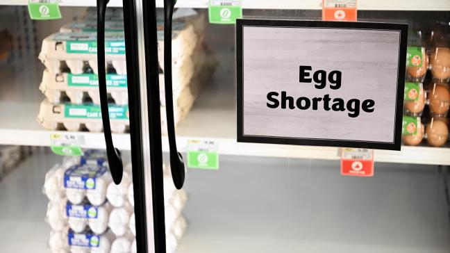 Aanhoudende vogelgriep in de VS leidt daar tot lege winkelrekken en dure eieren.