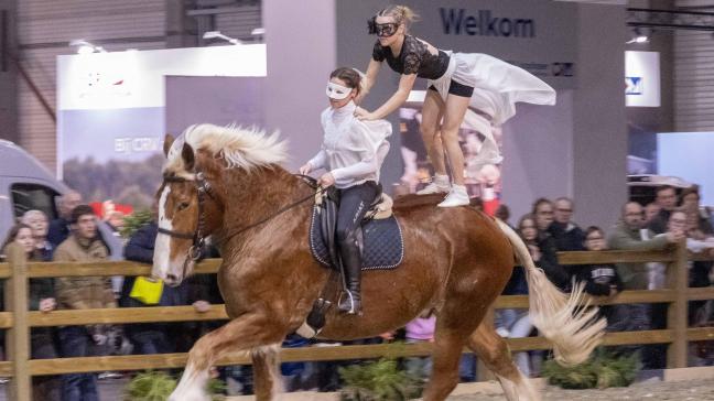 Op Agriflanders toonde het Vlaams paard zich als recreatiepaard tijdens voltigenummers.