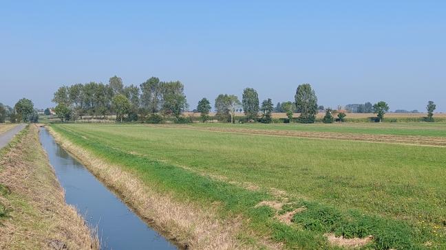 Minister Brouns wil het beheer van onbevaarbare waterlopen op termijn regionaal organiseren in waterschappen die beleidsmatig worden aangestuurd door één centrale Vlaamse entiteit.