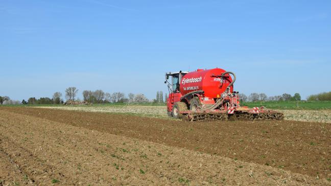 De basisbemesting in aardappelen reduceren en nadien gericht bijbemesten leidt niet tot een lagere opbrengst, maar het nitraatresidu wordt zo wel beter in de hand gehouden.