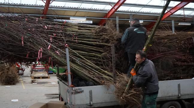 Voor deze groepsaankoop waren er 245 deelnemers, waarvan 192 landbouwers en 53 imkers. 152 deelnemers bestelden samen 14.765 stuks inheems plantgoed (bosgoed, bomen, struiken en klimplanten).