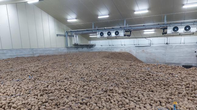 De aardappelafzet en -bewaring verloopt nu voorspoedig.