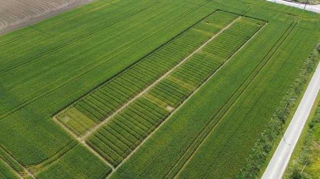 Overzicht van de proefobjecten waar biostimulanten werden ingezet.