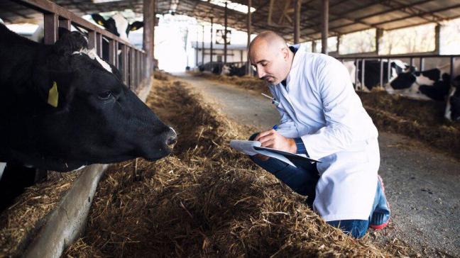 Dreigementen van toezichthouders of controleurs naar veehouders, naar aanleiding van een verzoek om bioveiligheidsmaatregelen in acht te nemen, kunnen voor minister Brouns niet worden getolereerd.