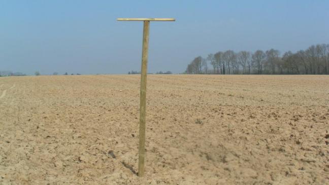 Het Bieteninstituut raadt aan zitstokken voor roofvogels te plaatsen.