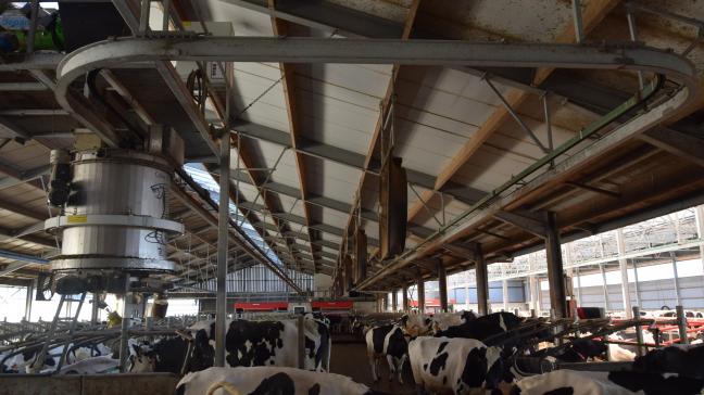 Veel processen op het Koeweidehof zijn geautomatiseerd, zoals deze strooiselmachine. Dat vraagt natuurlijk veel energie, die de pocketvergister op het bedrijf voor een stuk levert.