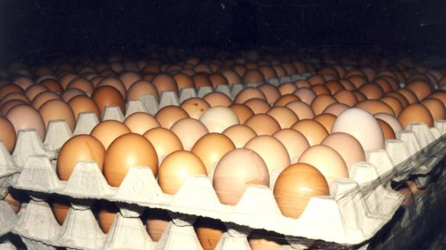 Pluimveehouders krijgen een betere prijs voor eieren.